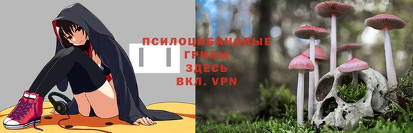 МДМА Алексеевка