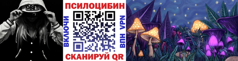 Псилоцибиновые грибы GOLDEN TEACHER  где продают наркотики  Новозыбков 